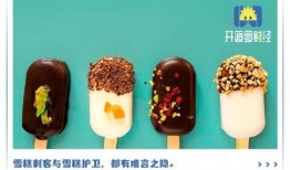 爆料雪莲雪糕的做法视频,传统与现代的完美融合