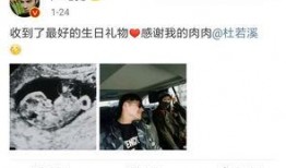 老杨最新爆料新闻报道视频,最新爆料新闻报道视频深度解析