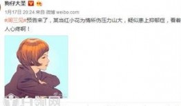 谁爆料了小花梅的视频,神秘爆料者揭开事件真相