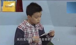 娱乐爆料大奇葩,大奇葩事件盘点，笑料百出引人捧腹