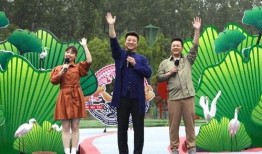 近期八卦爆料新闻视频播放,揭秘明星幕后故事，视频播放量飙升