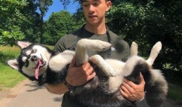 爆料男明星养狗视频,某男明星私下养狗生活大揭秘