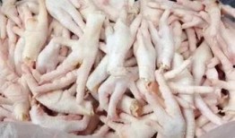 鸡爪养殖爆料方法视频教程,视频教程带你轻松入门