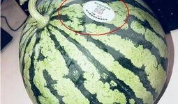 靖边网红吃瓜,揭秘背后真相与网络热议