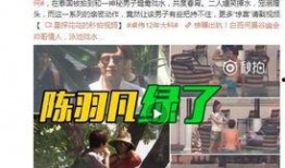 陈冰冰秦峰爆料后续视频
