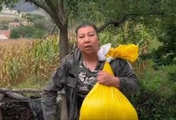 最新爆料东北雨姐,揭秘东北地区独特雨季现象背后的秘密