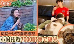 爆料男明星养狗视频,某男明星私下养狗生活大揭秘
