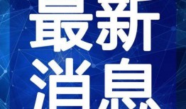 陈大锤最新爆料视频播放,揭秘幕后真相，精彩瞬间回顾