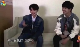 爆料明星事件王源视频,揭秘娱乐圈不为人知的幕后真相
