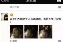 深圳网恋沈女士爆料视频,揭秘网恋背后的黑暗真相