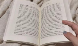 桃园日记最新爆料文案,揭秘幕后真相，独家解读事件始末