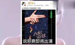 各国明星被爆料视频播放,网络时代的隐私挑战与反思