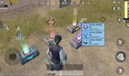 光子吃鸡最新爆料,揭秘游戏升级与全新玩法