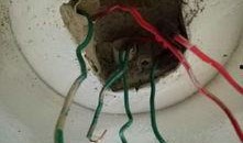 寄性虫在那能在线观看,在线观看，揭秘社会阶层与生存困境