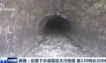 污物电影手机在线观看,手机在线观看，揭秘成人世界隐秘面