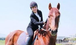 沈阳女骑士爆料新闻,惊曝娱乐圈内幕，真相令人震惊！