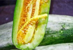 网红吃瓜网站有哪些,盘点热门平台与热门事件