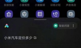 小爱爆料小米汽车视频下载,小爱同学带你领略未来出行新体验