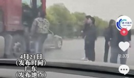 货车爆料主播是谁啊视频,探寻背后神秘人物