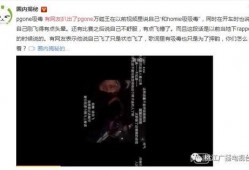 爆料吸毒艺人视频大全集,吸毒艺人视频大全集曝光