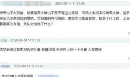 张小龙小弟爆料视频大全,揭秘幕后故事与精彩瞬间