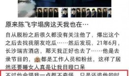 陈大锤最新爆料视频播放,揭秘幕后真相，精彩瞬间回顾