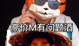 娱乐爆料嘎子视频,揭秘娱乐圈幕后故事，带你走进明星真实生活