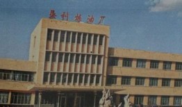 垦利炼油厂最新爆料,揭秘炼油行业变革与安全挑战