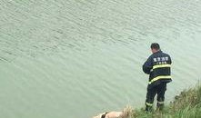 南京秦淮河最新爆料,最新爆料揭示千年古河新风采