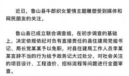 鲁山县最新爆料案件信息,真相大白，疑云散去！