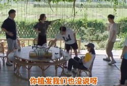 爆料何老师最新,娱乐圈风云再起，幕后真相令人震惊