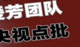 央视网爆料牛爱芳视频,真相与争议