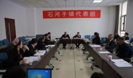 石河子最新爆料,揭秘这座新疆城市的蜕变与未来