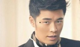 娱乐大爆料陈赫是谁,娱乐大爆料中的焦点人物