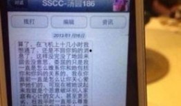 安迪被爆料出轨视频,真相与争议