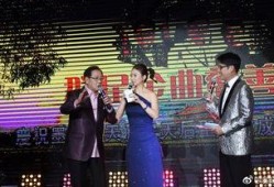 翁虹综艺爆料视频播放大全,揭秘明星幕后故事