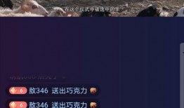 六点爆料冰岛直播视频在线观看,六点爆料带你领略神秘北欧风光