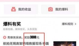 怎么查看自己的爆料视频,轻松查看个人爆料视频教程