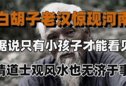 风水先生在线观看免费,在线免费观看风水先生智慧分享
