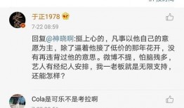 关于娱乐圈吃瓜文案句子,幕后真相与热点事件深度剖析