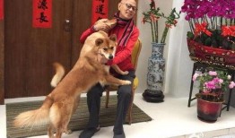 爆料男明星养狗视频,某男明星私下养狗生活大揭秘
