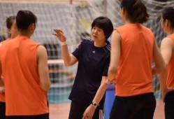 郎平爆料视频全集播放下载,视频全集播放下载背后的故事与幕后花絮