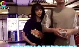 张恒与郑爽的爆料视频大全,揭秘娱乐圈真相与争议