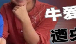 央视网爆料牛爱芳视频,真相与争议