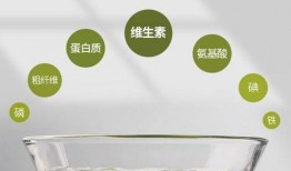 海带苗嫩苗爆料怎么做视频,视频制作攻略全解析