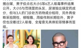 爆料明星验毒视频播放,揭秘娱乐圈毒品问题