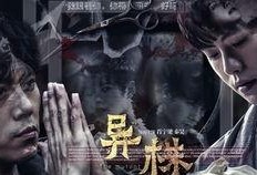 娱乐爆料大师肖宇梁视频,独家内幕大公开！