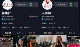 嘉兴网红爆料新闻报道视频,揭秘网红背后的真相与争议