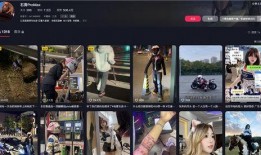 沈阳女骑士爆料新闻,惊曝娱乐圈内幕，真相令人震惊！