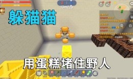 迷你世界小学生爆料视频,揭秘游戏背后的秘密与乐趣